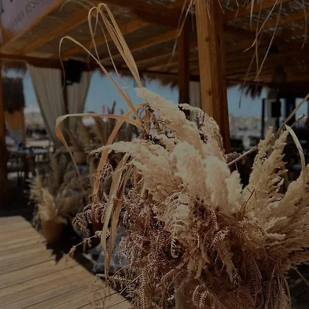 “koka” Golem (Tirana)