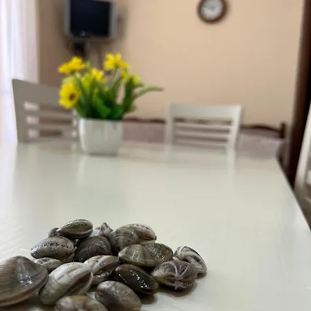 “koka” Appartement