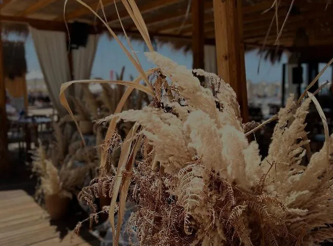 “koka” Golem (Tirana)